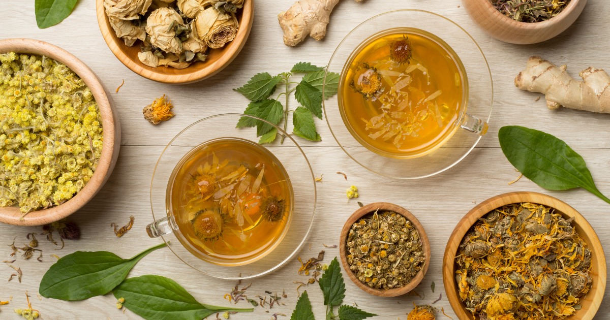 Power Up Your Immunity with the Herbal Best Immunity Booster